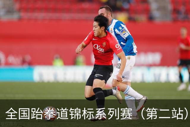 全国跆拳道锦标系列赛（第二站）第三日 冀晋浙苏各得一金