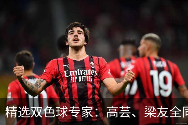 精选双色球专家：高芸、梁友全同中二等279万！