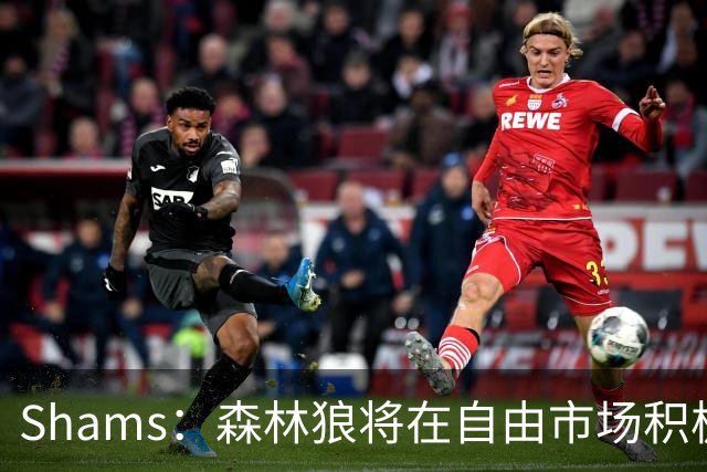 Shams：森林狼将在自由市场积极补强4号位 但他们只能提供底薪